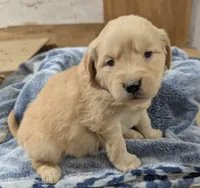 processed/babde65a-6a19-447c-b083-7c06ea514063/listing/cc73d571-1c11-41c6-a81b-1fada71e681a/e087a8a3-21a5-4964-9db5-b50566997d0b