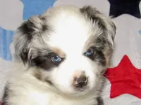 processed/bac04907-3bfa-4244-8e38-efd13da679d6/facility/d9071103-54a5-4982-b9a3-6a1f69ea419e