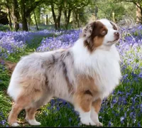 processed/bac04907-3bfa-4244-8e38-efd13da679d6/listing/a6fd2b52-7419-43f6-8ee4-fa99f16d44db/ac9bc444-bd18-4013-8922-0beda0597e4f