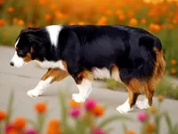 processed/bac04907-3bfa-4244-8e38-efd13da679d6/listing/a6fd2b52-7419-43f6-8ee4-fa99f16d44db/c77f1050-c493-4d25-a69b-63a4a5e3fd02