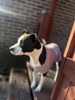 processed/bac7d28e-f163-490b-a3e1-f1d9b83f6794/facility/07e6e687-214d-4a8f-abe6-955f06bf724e