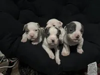 processed/bac7d28e-f163-490b-a3e1-f1d9b83f6794/facility/59400941-af83-431b-a5dc-ed3c64d5fa3a