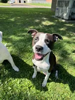 processed/bac7d28e-f163-490b-a3e1-f1d9b83f6794/facility/5aeda700-0bb3-421b-a51a-f34b27d2a7d3