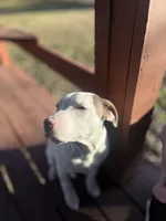 processed/bac7d28e-f163-490b-a3e1-f1d9b83f6794/facility/d4702cb8-3e92-4ce7-ba20-a135342ed483