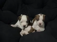 processed/bac7d28e-f163-490b-a3e1-f1d9b83f6794/facility/dade2daa-1a0a-480f-b5c6-e39e20527ee7