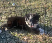 processed/bad69d24-cf2c-4bef-a122-6d98286df2b1/listing/2d090221-5329-4e87-b0e7-0de7dcd20ef5/42c36d77-0f7f-4df6-b8e6-045da7d92012