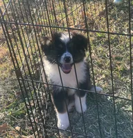 processed/bad69d24-cf2c-4bef-a122-6d98286df2b1/listing/2d090221-5329-4e87-b0e7-0de7dcd20ef5/ac35a458-7b65-4adc-b723-c995fa4bbc5a