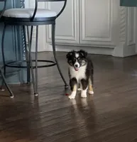 processed/bad69d24-cf2c-4bef-a122-6d98286df2b1/listing/2d090221-5329-4e87-b0e7-0de7dcd20ef5/b706d0b8-747b-4270-b2cc-9eec28ab6989