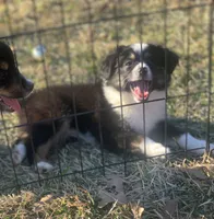 processed/bad69d24-cf2c-4bef-a122-6d98286df2b1/listing/2d090221-5329-4e87-b0e7-0de7dcd20ef5/bc5bb6dd-5775-41f7-a641-3db04f75089b