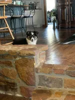 processed/bad69d24-cf2c-4bef-a122-6d98286df2b1/listing/2d090221-5329-4e87-b0e7-0de7dcd20ef5/cae271e4-5b16-441e-90c8-693a5ff7f574