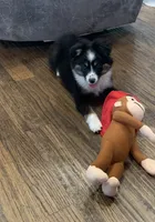 processed/bad69d24-cf2c-4bef-a122-6d98286df2b1/listing/2d090221-5329-4e87-b0e7-0de7dcd20ef5/e893ea39-b427-4d8e-8c85-c59fef30d290