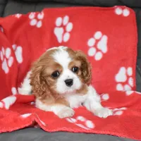 processed/bad7dd3b-438d-4205-9705-be35d320d615/facility/016a17fc-9190-4e2e-a2a7-3b2ba2b0c54f