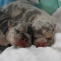 processed/bad7dd3b-438d-4205-9705-be35d320d615/facility/0c1d14e8-81d9-441e-8dd4-6e068ec5333e