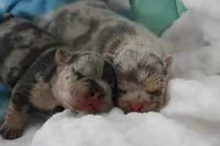 processed/bad7dd3b-438d-4205-9705-be35d320d615/facility/0c1d14e8-81d9-441e-8dd4-6e068ec5333e