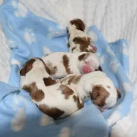 processed/bad7dd3b-438d-4205-9705-be35d320d615/facility/6b3abf13-75a1-443d-b3fd-c489b2f0ac7e