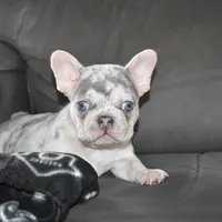 processed/bad7dd3b-438d-4205-9705-be35d320d615/facility/7ab2e06f-d084-4cc7-801d-22d43ecb4410