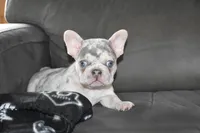 processed/bad7dd3b-438d-4205-9705-be35d320d615/facility/7ab2e06f-d084-4cc7-801d-22d43ecb4410