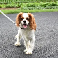 processed/bad7dd3b-438d-4205-9705-be35d320d615/facility/7fd90639-ba44-4254-87f5-af51d944bb84