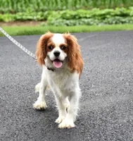 processed/bad7dd3b-438d-4205-9705-be35d320d615/facility/7fd90639-ba44-4254-87f5-af51d944bb84