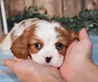 processed/bad7dd3b-438d-4205-9705-be35d320d615/facility/a85052ba-9497-461e-ac8b-df721926a672