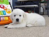 processed/bad8794b-66fe-4ffa-afed-b093559f3c26/facility/47f23fc7-99b9-482a-a26e-64c4b200bf3f