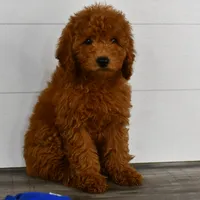 processed/bad8794b-66fe-4ffa-afed-b093559f3c26/facility/5228c5c6-f00a-4499-bb90-a9fb86df288c