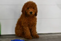 processed/bad8794b-66fe-4ffa-afed-b093559f3c26/facility/5228c5c6-f00a-4499-bb90-a9fb86df288c