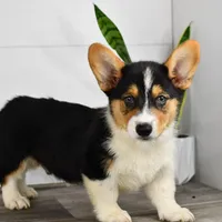 processed/bad8794b-66fe-4ffa-afed-b093559f3c26/facility/53e88e87-6878-44d8-b3b0-cd4a00fd66bd