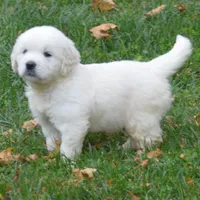 processed/bad8794b-66fe-4ffa-afed-b093559f3c26/facility/8b1b8338-e3ac-4668-b3af-76a0f014d37e