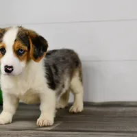 processed/bad8794b-66fe-4ffa-afed-b093559f3c26/facility/ba924f48-0509-4a5d-a82a-14e25e361351