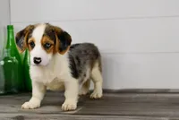 processed/bad8794b-66fe-4ffa-afed-b093559f3c26/facility/ba924f48-0509-4a5d-a82a-14e25e361351