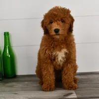 processed/bad8794b-66fe-4ffa-afed-b093559f3c26/facility/c84e23a3-4479-4344-8943-3e2e7c716ca7