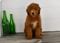 processed/bad8794b-66fe-4ffa-afed-b093559f3c26/facility/c84e23a3-4479-4344-8943-3e2e7c716ca7