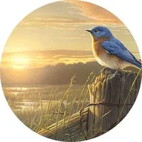 processed/bad8794b-66fe-4ffa-afed-b093559f3c26/facility/e21180d0-498b-44f9-b416-af1e1e99155b