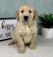 processed/bad9be04-c746-4941-b3e3-5932db04d9b4/listing/0f5e3634-0784-4e1c-959d-b3c19f17d78f/108555a4-cb5e-4f41-8a0a-c093b78d7889