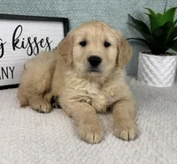 processed/bad9be04-c746-4941-b3e3-5932db04d9b4/listing/0f5e3634-0784-4e1c-959d-b3c19f17d78f/25be4b6c-026c-43c9-aa14-9a63c2d72cb2