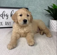 processed/bad9be04-c746-4941-b3e3-5932db04d9b4/listing/0f5e3634-0784-4e1c-959d-b3c19f17d78f/683c0357-c2ac-4928-923a-214bd0b063e0