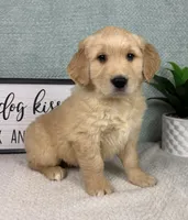 processed/bad9be04-c746-4941-b3e3-5932db04d9b4/listing/0f5e3634-0784-4e1c-959d-b3c19f17d78f/6f112c2f-6995-48a0-9431-9e2a93a3bc0e