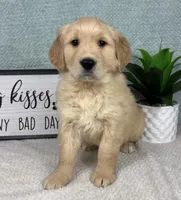 processed/bad9be04-c746-4941-b3e3-5932db04d9b4/listing/0f5e3634-0784-4e1c-959d-b3c19f17d78f/c3567b08-67db-46c5-b3ee-dac65bbbae9d