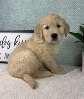 processed/bad9be04-c746-4941-b3e3-5932db04d9b4/listing/0f5e3634-0784-4e1c-959d-b3c19f17d78f/c63d1a59-8c9a-416f-b116-3ff7d4f0aec4