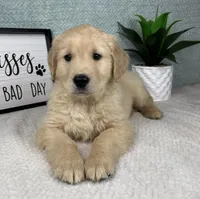 processed/bad9be04-c746-4941-b3e3-5932db04d9b4/listing/0f5e3634-0784-4e1c-959d-b3c19f17d78f/f2815c72-f192-4789-a344-7a2406505fc5