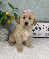 processed/bad9be04-c746-4941-b3e3-5932db04d9b4/listing/d26c0b4b-dd75-4d96-a3ed-59c25a865ad9/15a25c4a-ec49-42fc-8880-6205f6e3d4aa