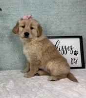 processed/bad9be04-c746-4941-b3e3-5932db04d9b4/listing/d26c0b4b-dd75-4d96-a3ed-59c25a865ad9/52a5724f-2f81-4720-bb65-7fee2d5d3375