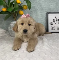 processed/bad9be04-c746-4941-b3e3-5932db04d9b4/listing/d26c0b4b-dd75-4d96-a3ed-59c25a865ad9/714512e2-55fa-4211-9833-cec7c66145a9