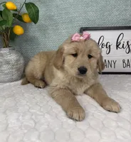 processed/bad9be04-c746-4941-b3e3-5932db04d9b4/listing/d26c0b4b-dd75-4d96-a3ed-59c25a865ad9/a30a4fe4-9f56-4ce5-af04-a508a3b0655c