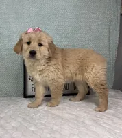 processed/bad9be04-c746-4941-b3e3-5932db04d9b4/listing/d26c0b4b-dd75-4d96-a3ed-59c25a865ad9/c795563f-be0e-4d21-beb2-384403203220