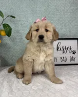 processed/bad9be04-c746-4941-b3e3-5932db04d9b4/listing/d26c0b4b-dd75-4d96-a3ed-59c25a865ad9/e88e4f34-91b1-44bd-9a1f-e9b6944bacd9