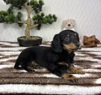 processed/bad9be04-c746-4941-b3e3-5932db04d9b4/listing/e861c407-f03a-45c4-9b31-f267f28e0ea8/4613bd44-58f3-483c-9a4e-cac8150ea9f0