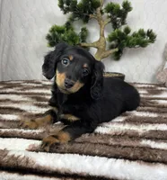 processed/bad9be04-c746-4941-b3e3-5932db04d9b4/listing/e861c407-f03a-45c4-9b31-f267f28e0ea8/ba409240-9281-408f-bc39-0aaaa272e7a0