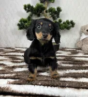 processed/bad9be04-c746-4941-b3e3-5932db04d9b4/listing/e861c407-f03a-45c4-9b31-f267f28e0ea8/f24d98a6-4aba-4b00-be53-fa4239d6078d